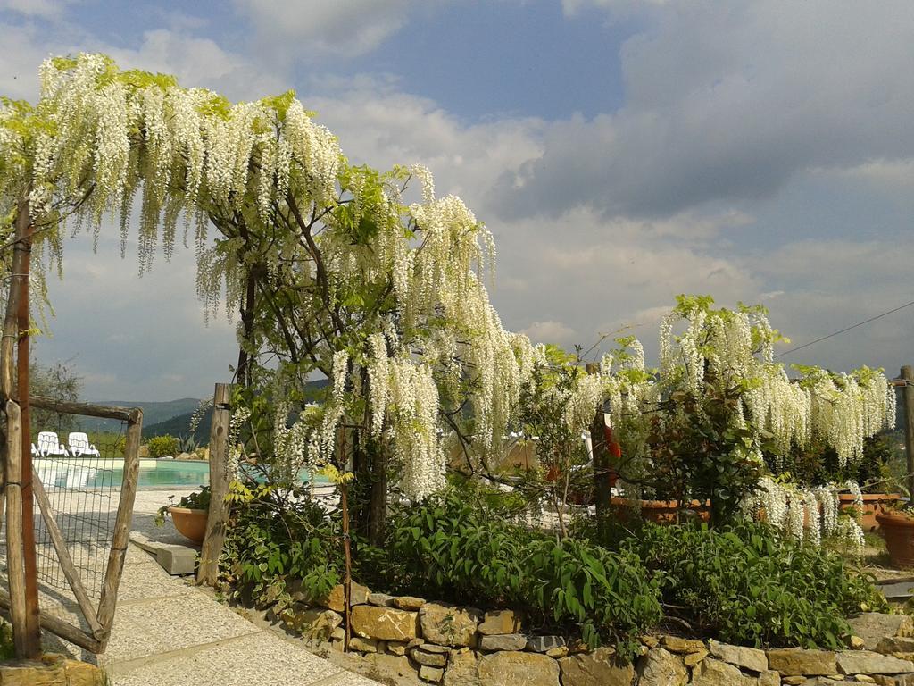 Agriturismo Biologico Poggiopiano Villa Fiesole Exterior photo