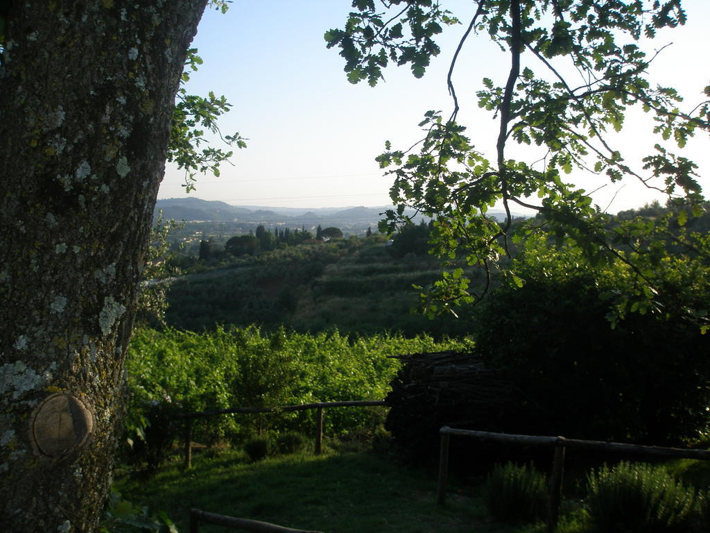 Agriturismo Biologico Poggiopiano Villa Fiesole Exterior photo